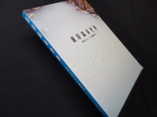 画像1: 混浴温泉世界―場所とアートの魔術性　eppu Project 著/芹沢高志 監修 (1)