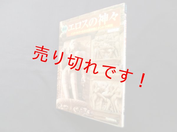 画像1: 図説 エロスの神々―インド・ネパールの太陽神殿とタントラ美術 (ふくろうの本)　福田和彦 (1)