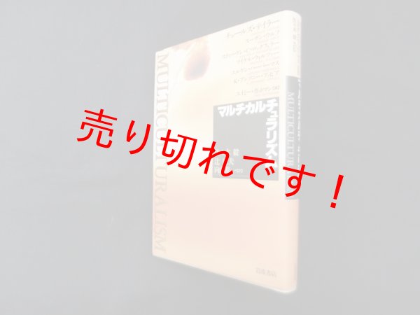 画像1: マルチカルチュラリズム　チャールズ・テイラー 他/佐々木毅 他訳 (1)
