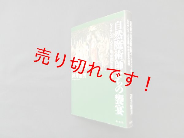 画像1: 自然魔術師たちの饗宴―ルネサンス・人文主義・宗教改革の諸相　澤井繁男 (1)