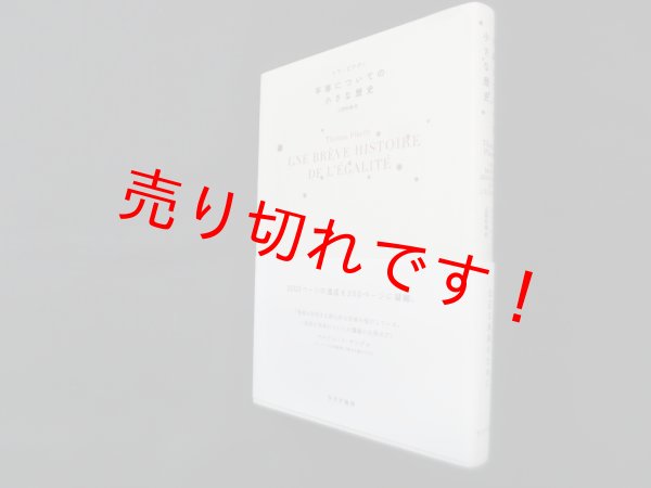 画像1: 平等についての小さな歴史　トマ・ピケティ/広野和美 訳 (1)