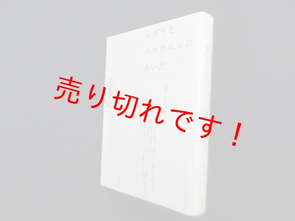 画像1: ユダヤとイスラエルのあいだ―民族/国民のアポリア　早尾貴紀 (1)