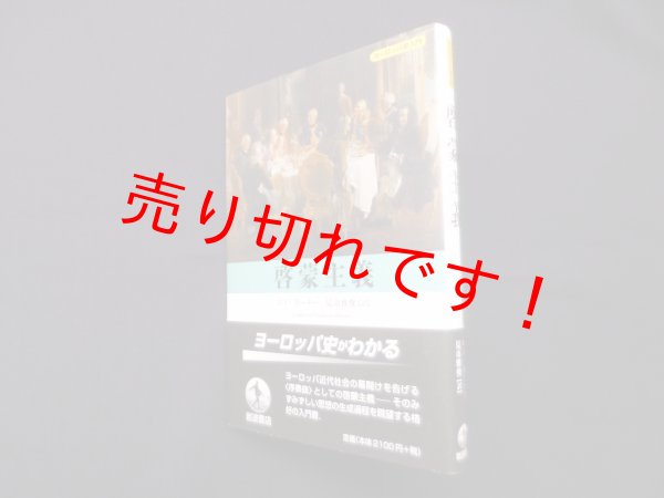 画像1: 啓蒙主義 (ヨーロッパ史入門)　ロイ ポーター/見市雅俊 訳 (1)