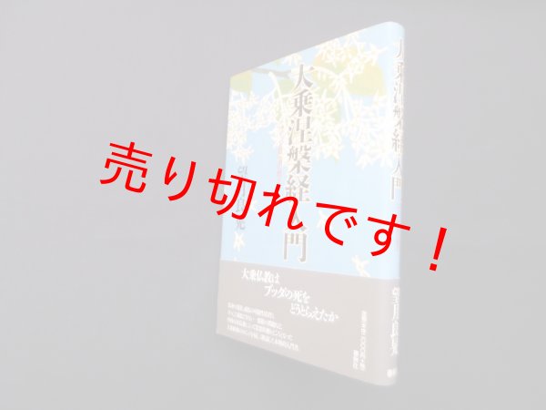 画像1: 大乗涅槃経入門―ブッダ最後の教え　望月良晃 (1)