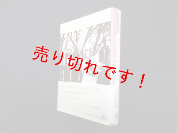 画像1: ディビザデロ通り(CREST BOOKS)　マイケル・オンダーチェ/村松潔 訳 (1)