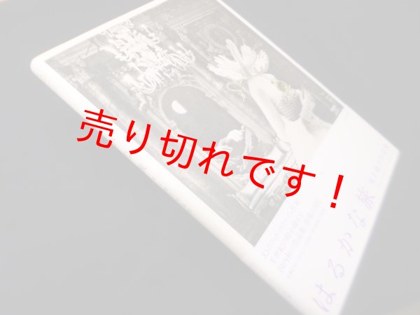 画像1: はるかな旅―岡上淑子作品集　岡上淑子 (1)