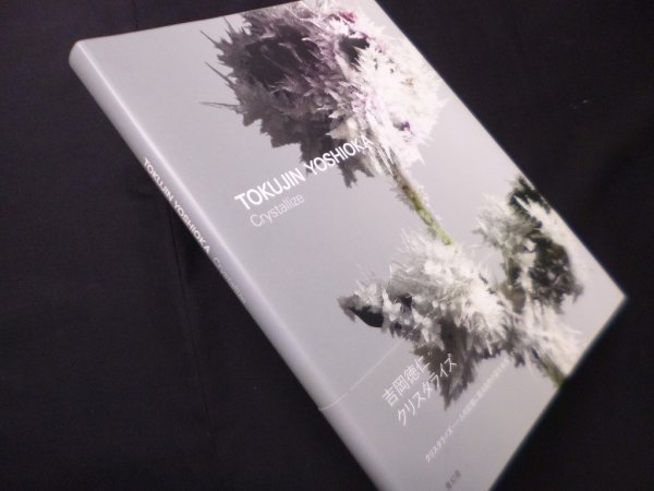 画像1: クリスタライズ　Crystallize　吉岡徳仁　吉岡徳仁 (1)