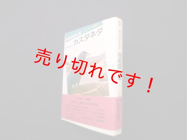 画像1: 呪術師と私―ドン・ファンの教え　カルロス・カスタネダ/真崎義博 訳 (1)