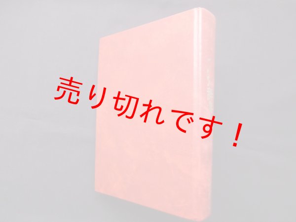 画像1: 針灸経穴辞典　李丁 天津中医学院 編/浅川要 他訳 (1)