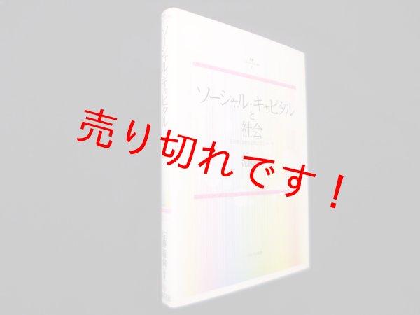 画像1: ソーシャル・キャピタルと社会―社会学における研究のフロンティア(叢書ソーシャル・キャピタル)　佐藤嘉倫 (1)