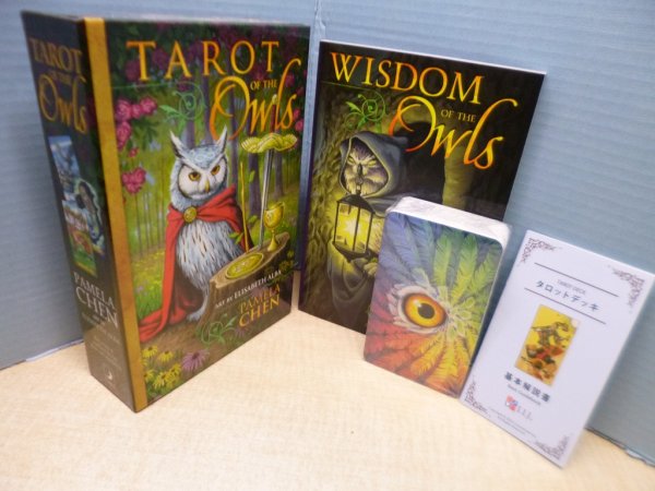画像1: Tarot of the Owls（タロット・オブ・ザ・オウル）　Pamela Chen 他 (1)