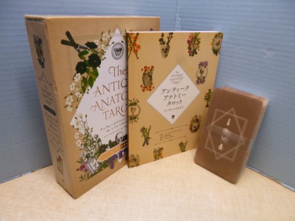画像1: アンティークアナトミータロット リーディングガイド（Antique Anatomy Tarot）　クレア・グッドチャイルド/伊泉龍一 監修 (1)