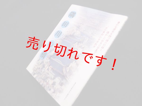 画像1: 隅田川の橋―"水の東都"の今昔散歩　東京今昔町あるき研究会 編 (1)
