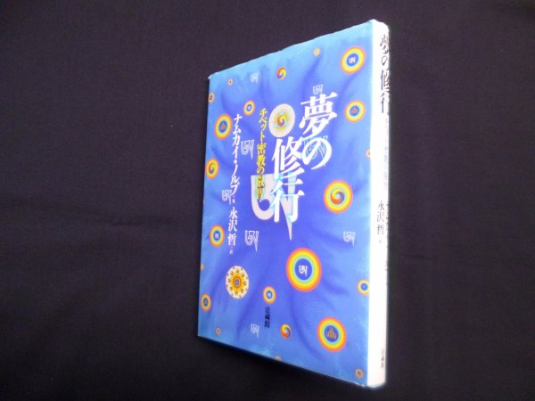 画像1: 夢の修行―チベット密教の叡智　ナムカイ・ノルブ/永沢哲 訳 (1)