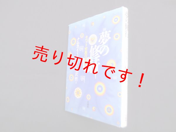 画像1: 夢の修行―チベット密教の叡智　ナムカイ・ノルブ/永沢哲 訳 (1)