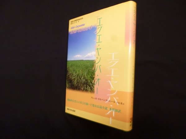 画像1: エクエ・ヤンバ・オー (関西大学東西学術研究所訳注シリーズ 8)　アレッホ・カルペンティエール/平田渡 訳 (1)