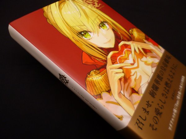 画像1: 愛 -ワダアルコ Fate ART WORKS-　ワダアルコ (1)