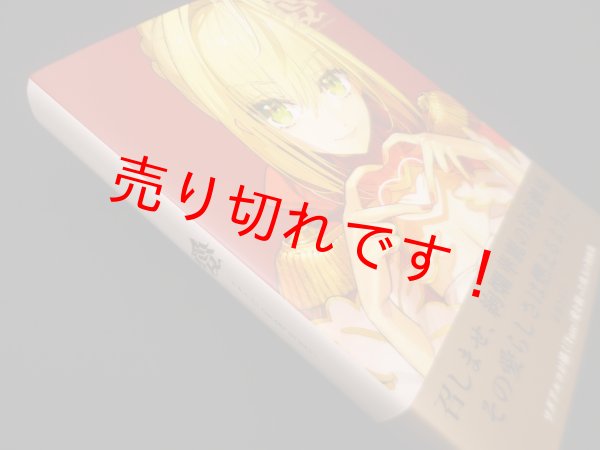 画像1: 愛 -ワダアルコ Fate ART WORKS-　ワダアルコ (1)