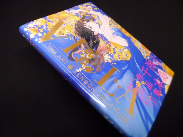 画像1: VIOLA　海島千本作品集　海島千本 (1)