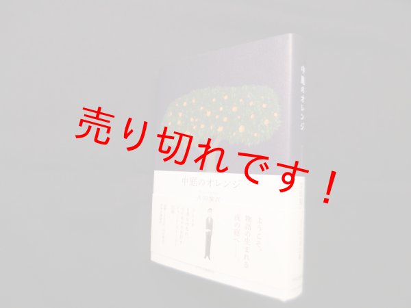 画像1: 中庭のオレンジ　吉田篤弘 (1)