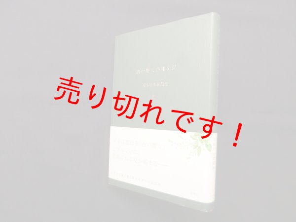 画像1: 西の魔女が死んだ―梨木香歩作品集　梨木香歩 (1)