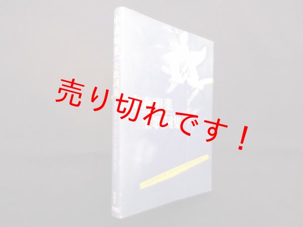 画像1: 中森明菜全歌詞集　ワークス出版 編 (1)