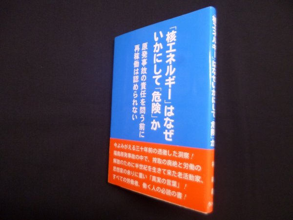 画像1: 「核エネルギー」はなぜいかにして「危険」か―原発事故の責任を問う前に再稼働は認められない　林紘義 (1)