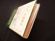画像2: フッサール現象学―現在の解釈と批判からの照明（叢書・ウニベルシタス） (2)
